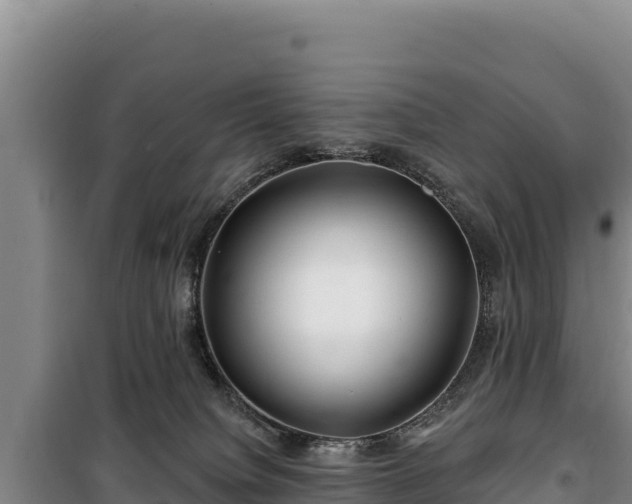 X0000100210084200806061356