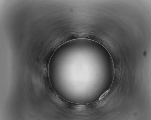 X0000100210085200806061356