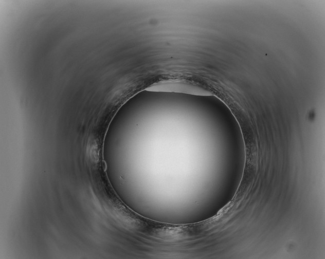 X0000100210086200806061356