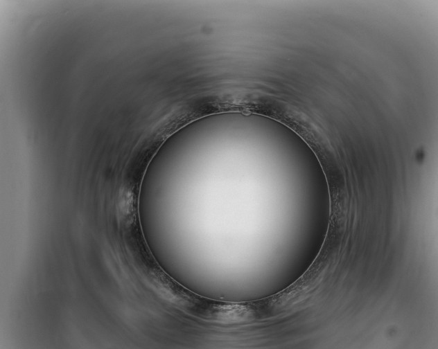 X0000100210087200806061356