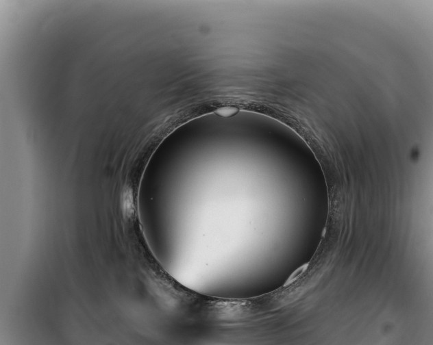 X0000100210089200806061356