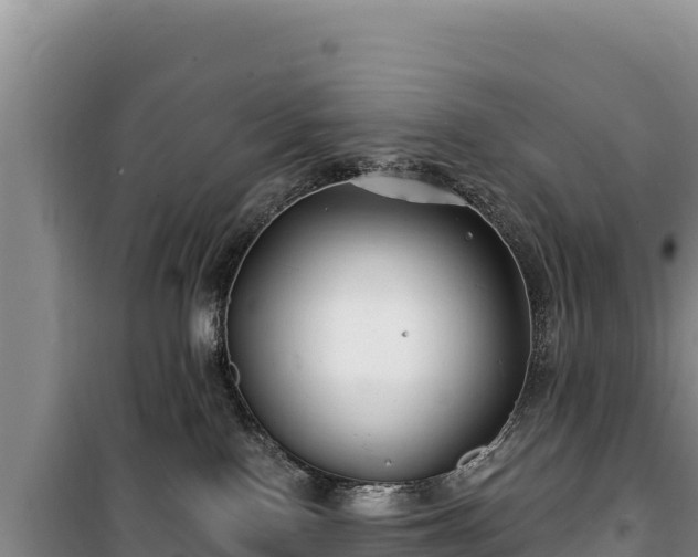 X0000100210090200806061356