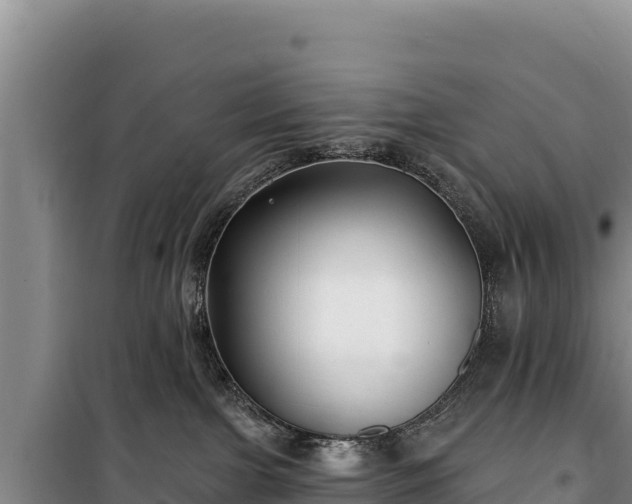 X0000100210091200806061356