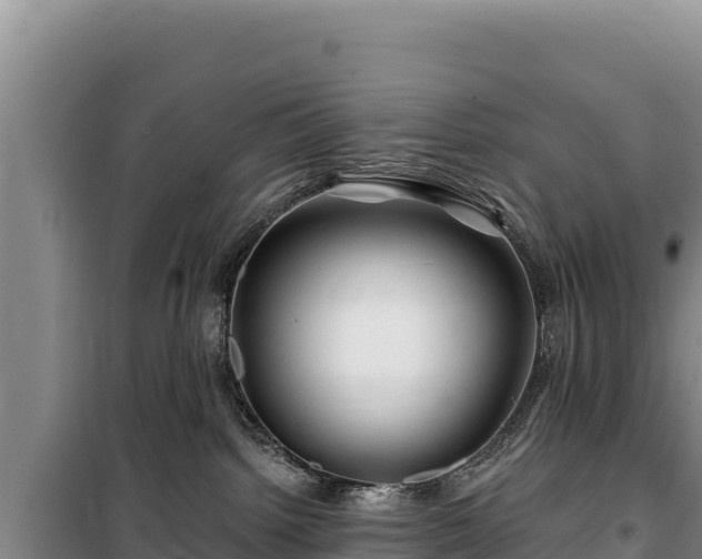 X0000100210092200806061356