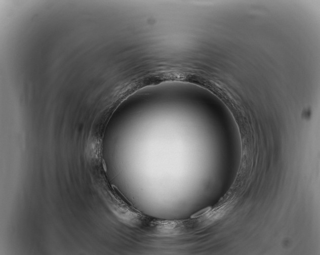 X0000100210096200806061356