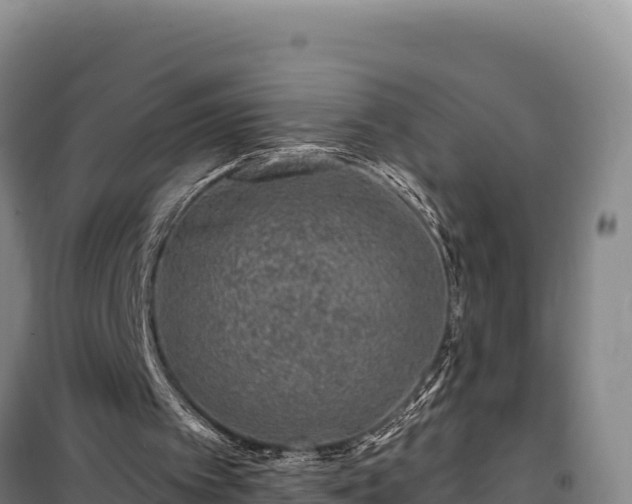 X0000100210097200806061355