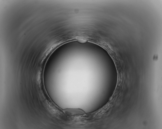 X0000100210098200806061355