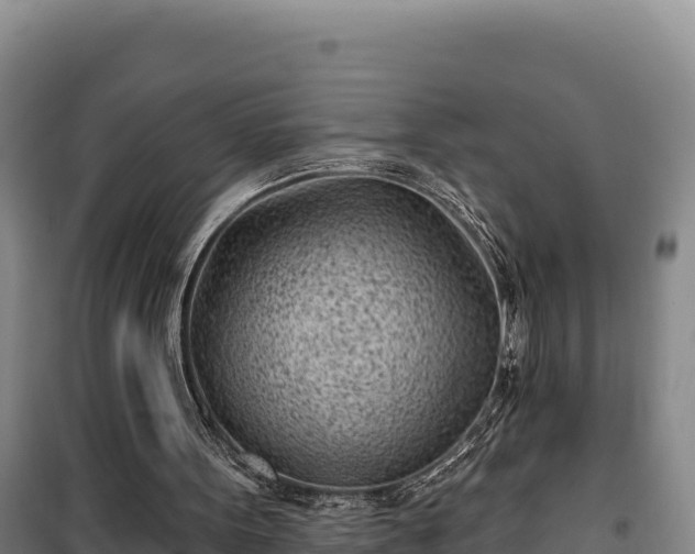 X0000100210099200806061355