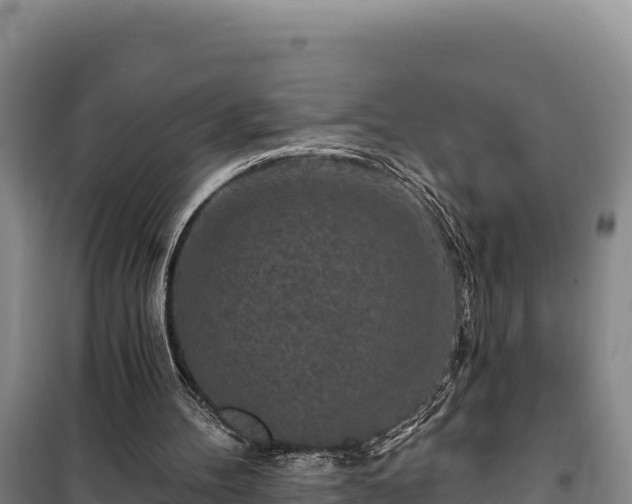 X0000100210100200806061355