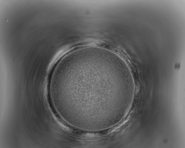 X0000100210101200806061355