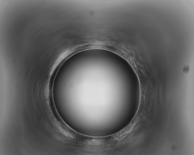 X0000100210102200806061355