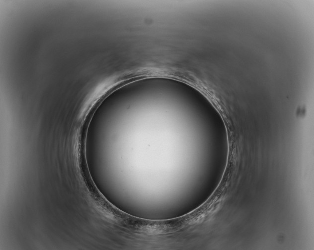 X0000100210103200806061355