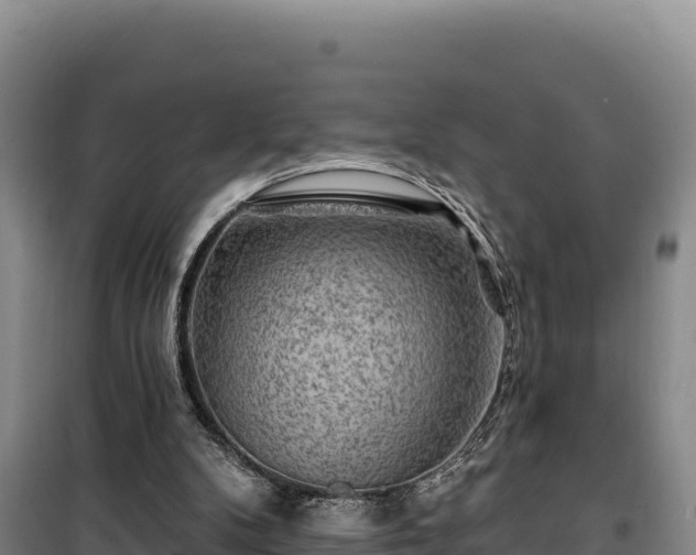 X0000100210104200806061355