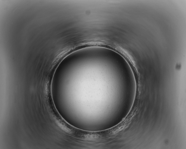 X0000100210105200806061355