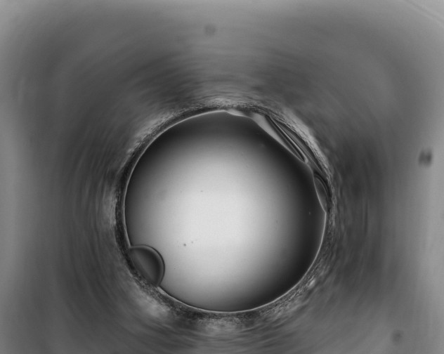 X0000100210106200806061355