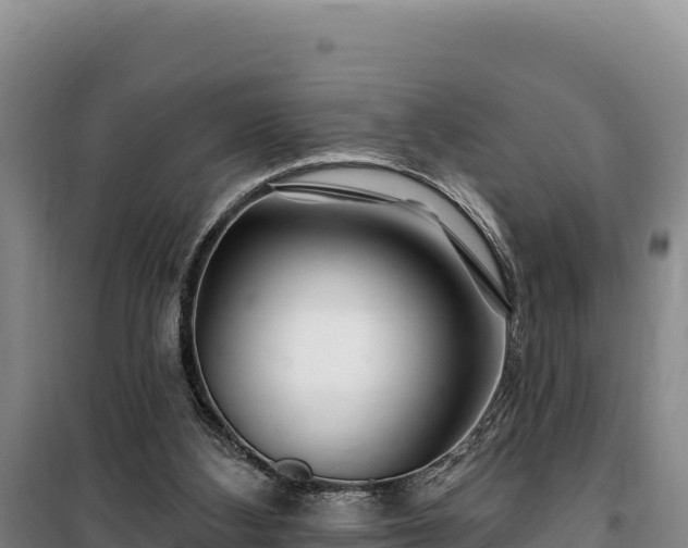 X0000100210108200806061355