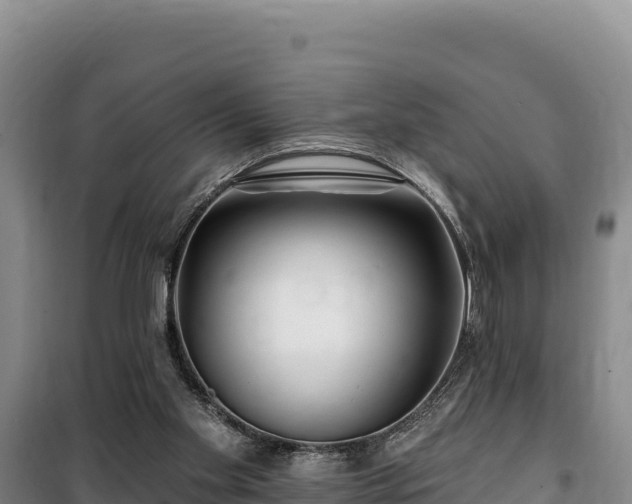 X0000100210109200806061355