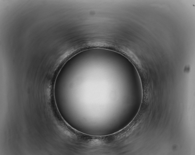 X0000100210111200806061355