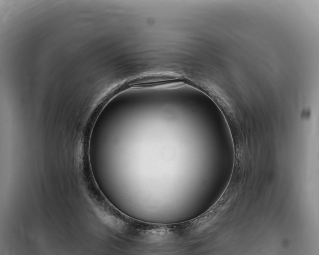 X0000100210112200806061355