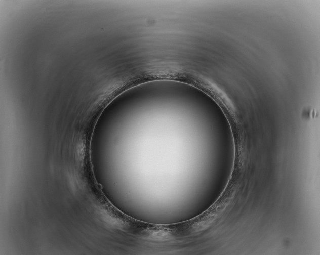 X0000100210113200806061355