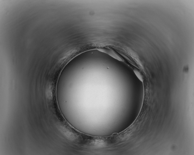 X0000100210114200806061355