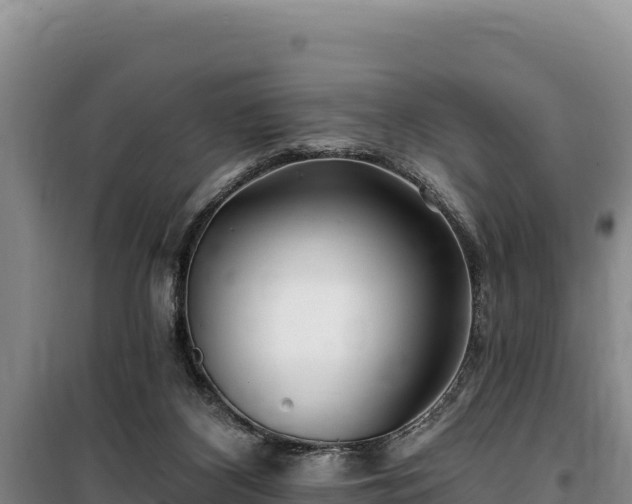 X0000100210116200806061355