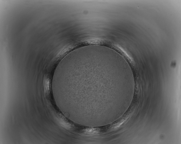 X0000100210117200806061355