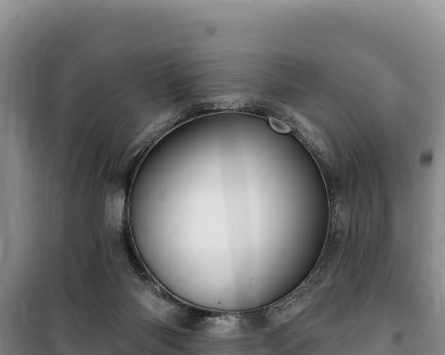 X0000100210118200806061355