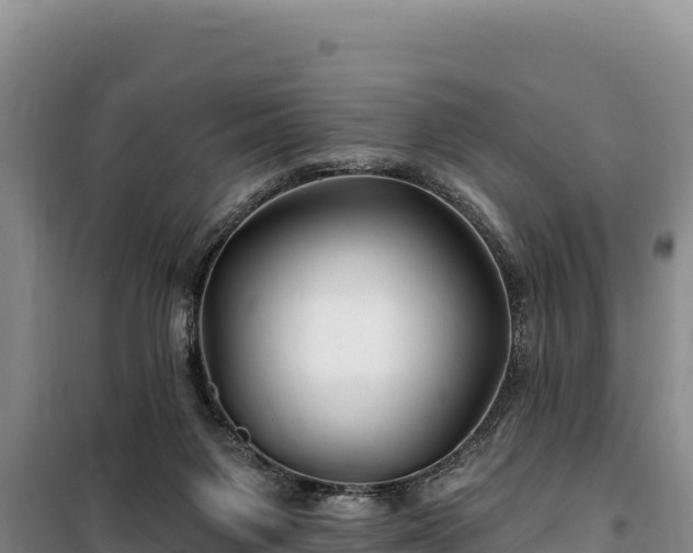 X0000100210119200806061355