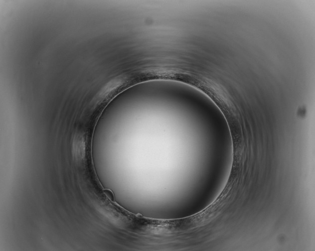 X0000100210120200806061355