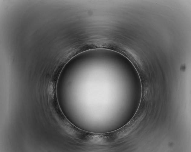 X0000100210121200806061355