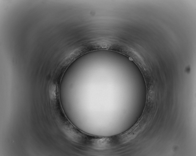 X0000100210122200806061355