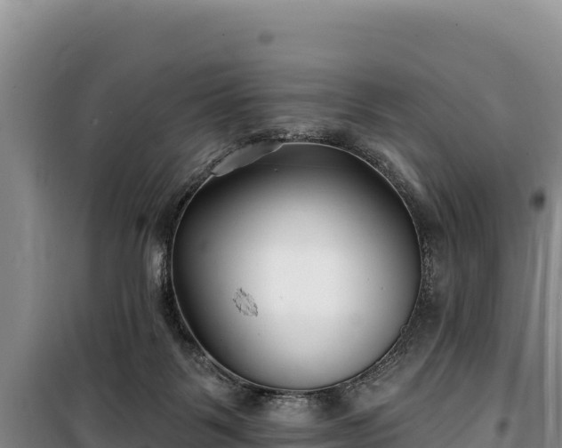 X0000100210123200806061355