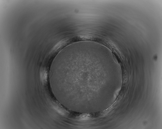 X0000100210124200806061355