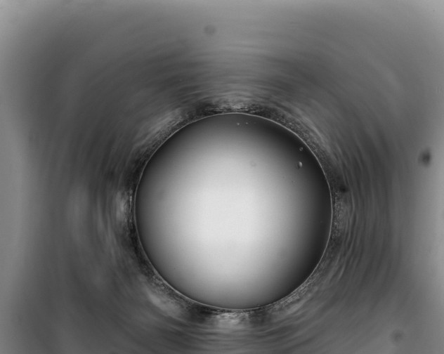 X0000100210126200806061355