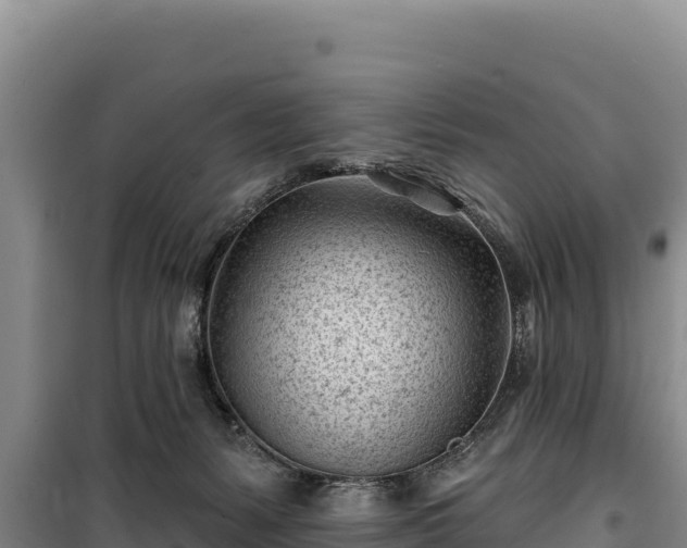 X0000100210127200806061355