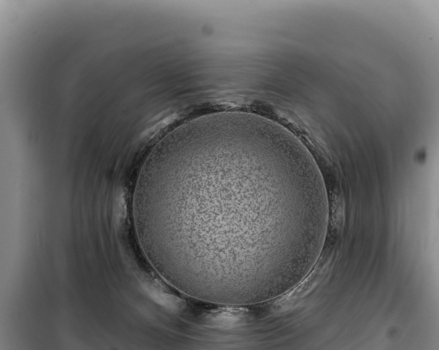 X0000100210128200806061355