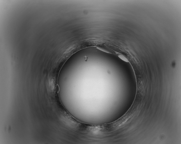 X0000100210131200806061354