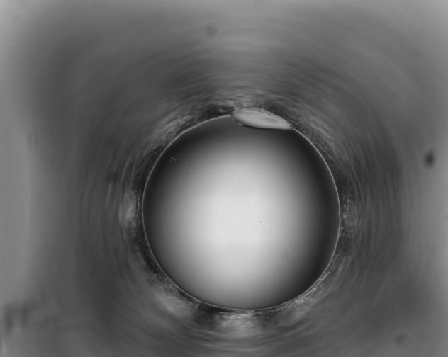 X0000100210132200806061354