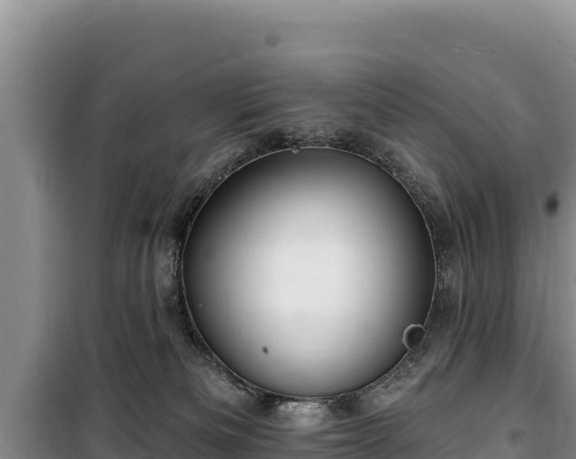 X0000100210133200806061354