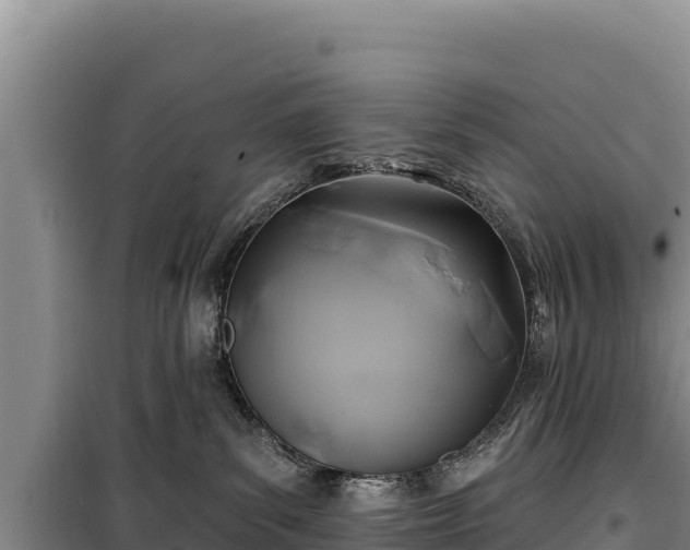 X0000100210139200806061354