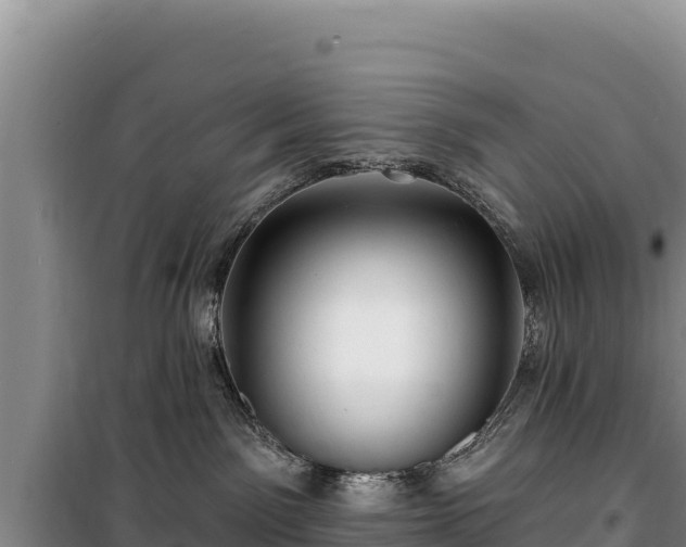 X0000100210141200806061354