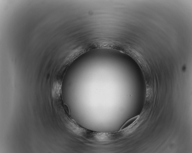 X0000100210142200806061354