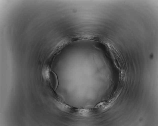 X0000100210143200806061354