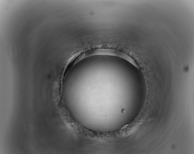 X0000100210144200806061354