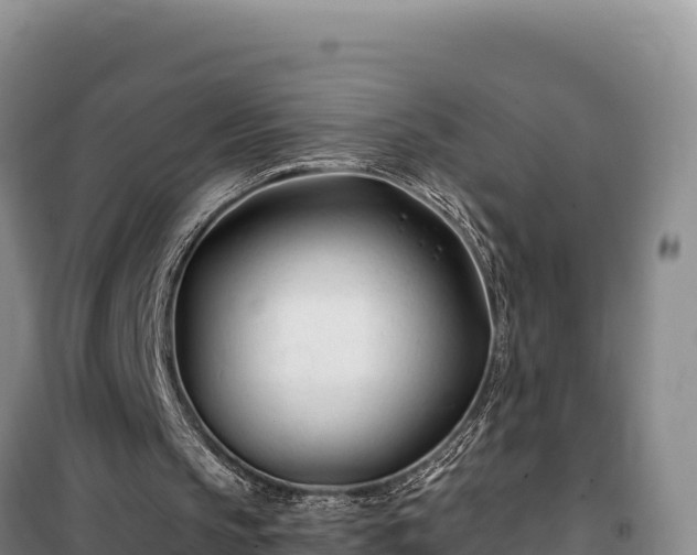 X0000100210145200806061354