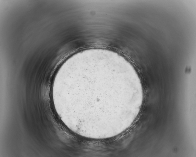 X0000100210146200806061354