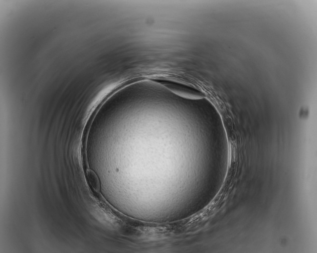 X0000100210147200806061354