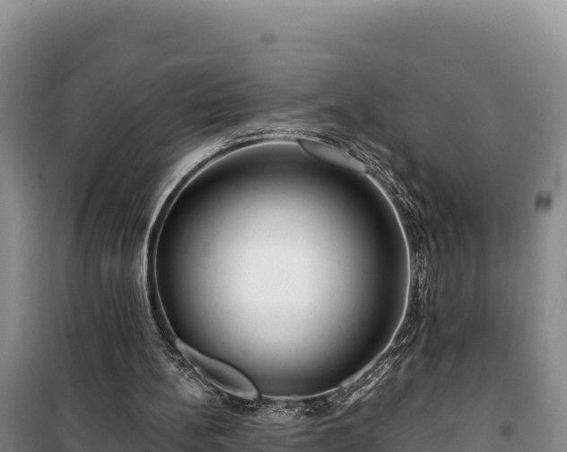 X0000100210148200806061354