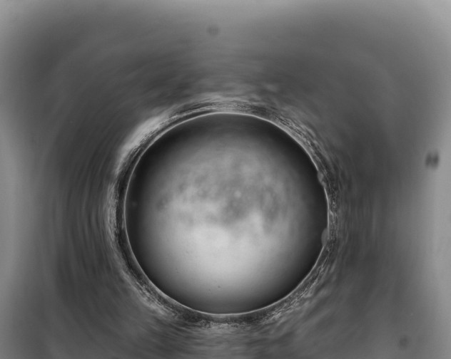 X0000100210149200806061354